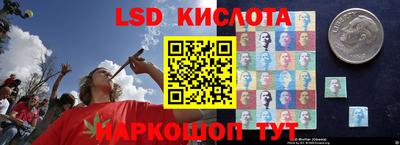 PSILOCYBIN Бугуруслан