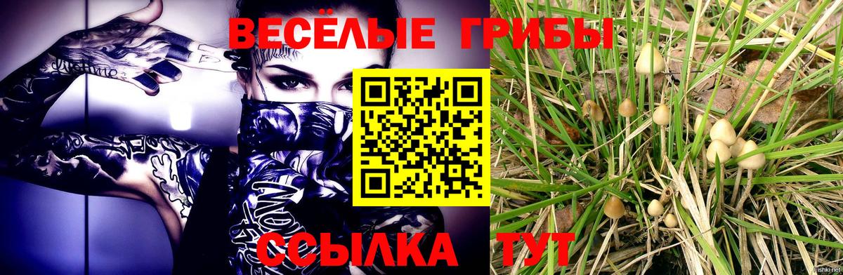 Псилоцибиновые грибы мицелий Медногорск